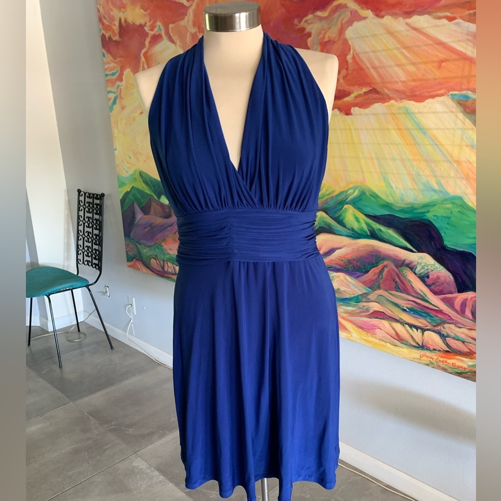 Evan Piccone Cocktail Dress 10P